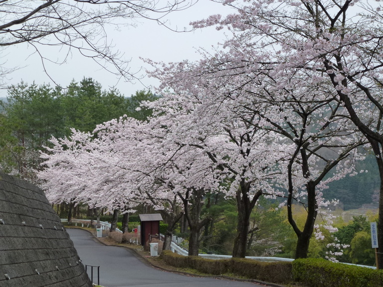 P1040668.JPG